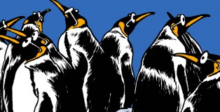 pingouins_une