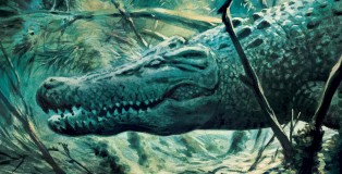 le_maitre_des_crocos_une