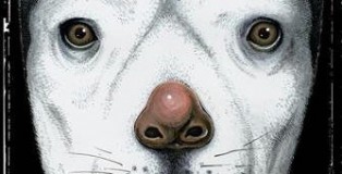 virgin-dog-revolution-une