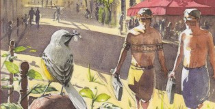 petit_traite_decologie_sauvage_une