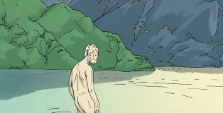 Les Oies cendrees Une